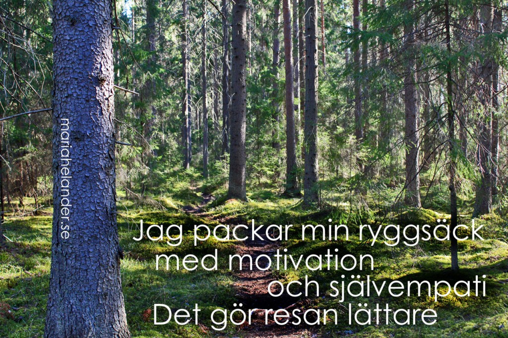 motivation