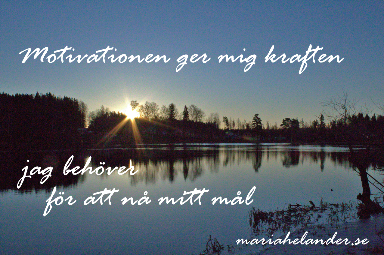 motivation