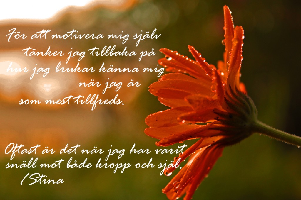 motiveramig