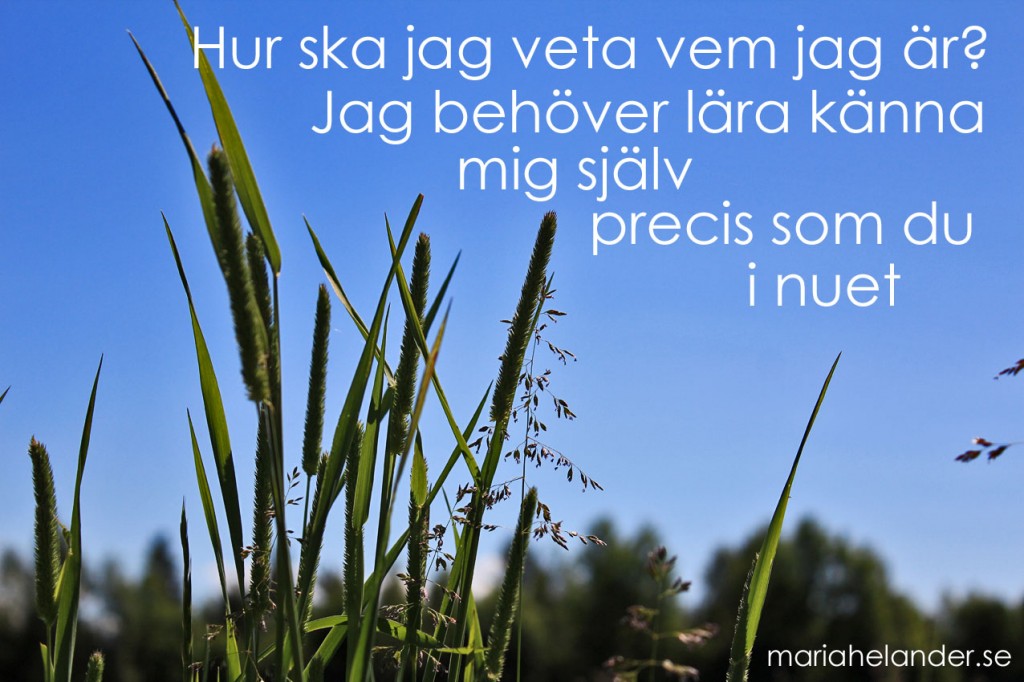 nuet