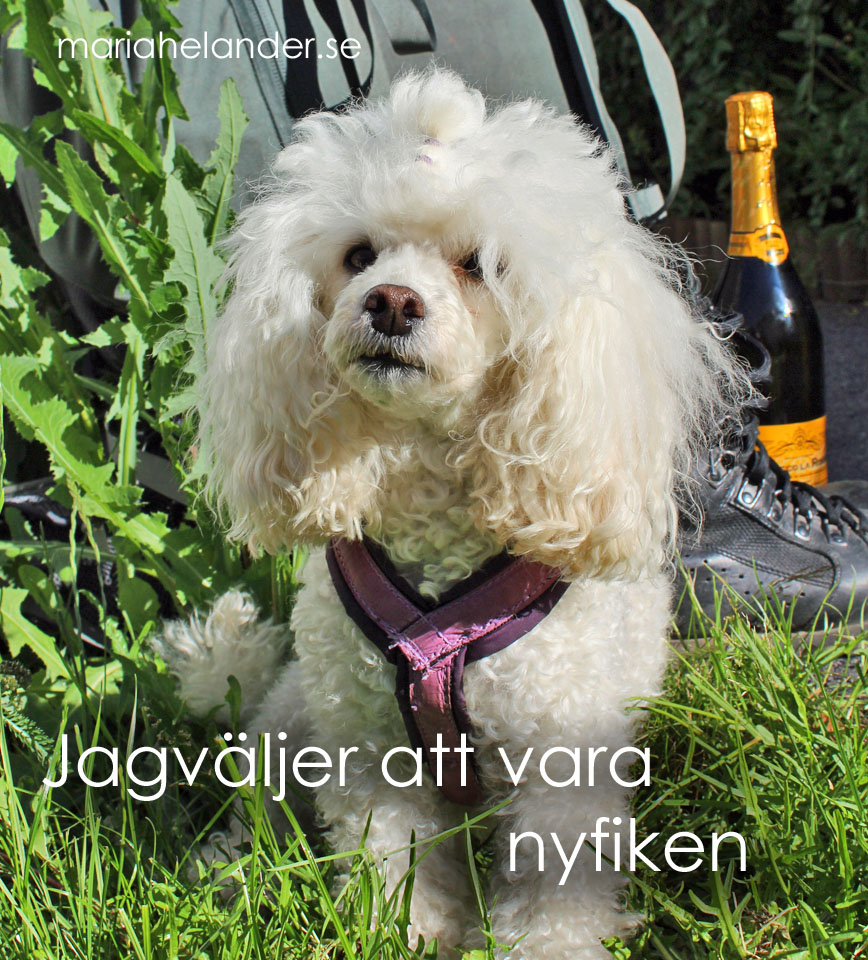 nyfiken