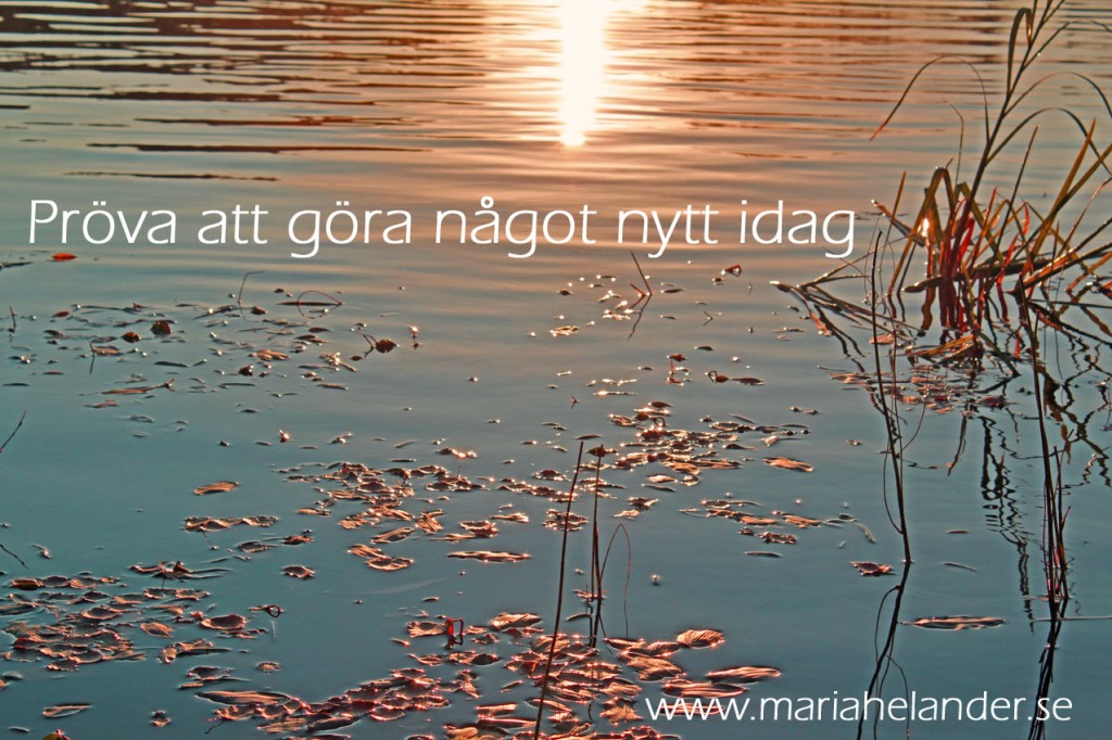 nytt