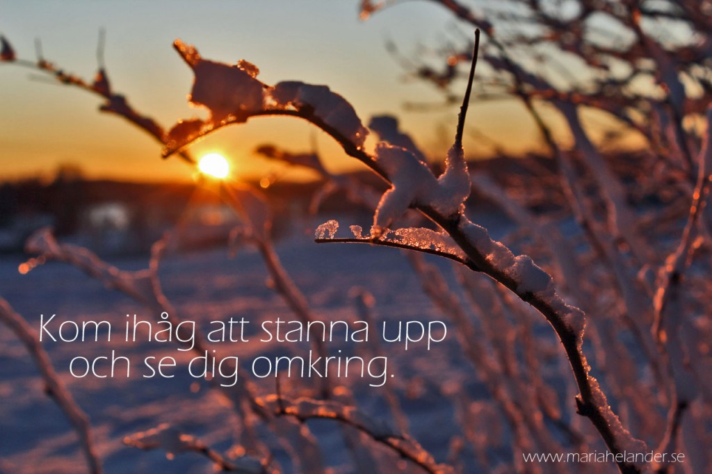omkring