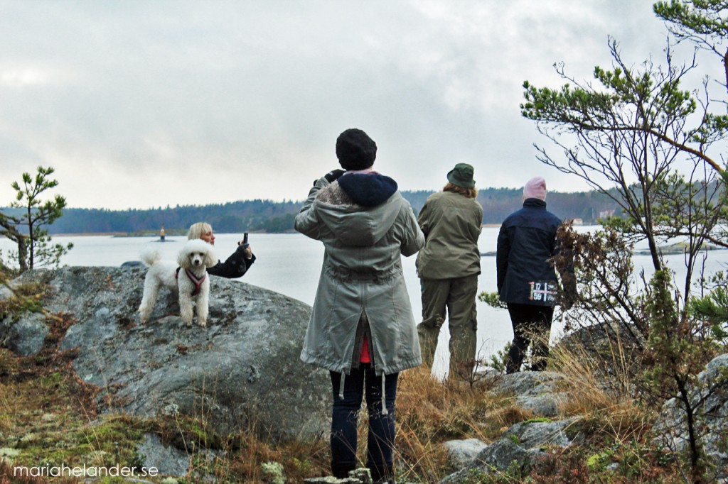 promenad