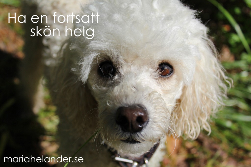 skönhelg