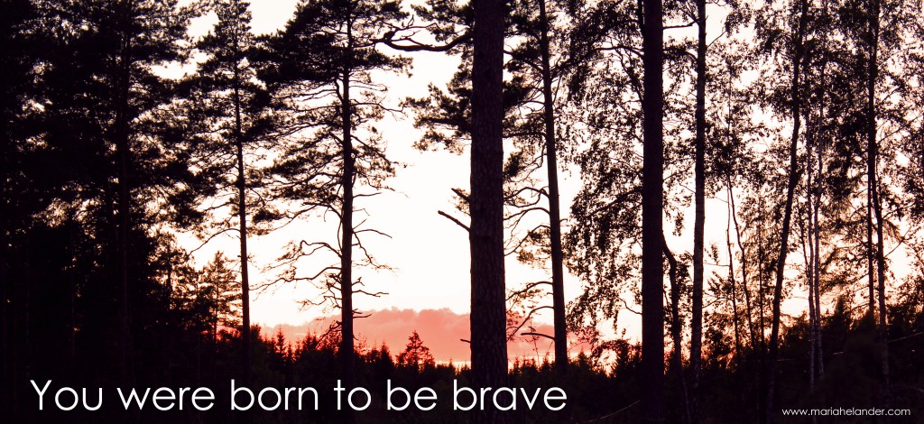 solnedgång-1024x470