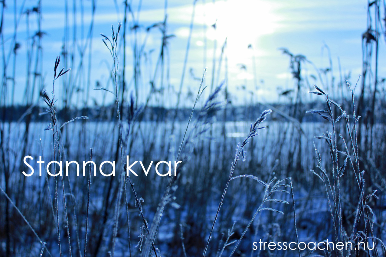 stanna