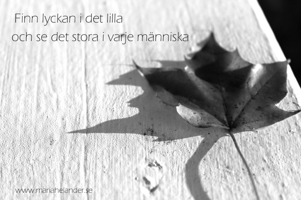 stora
