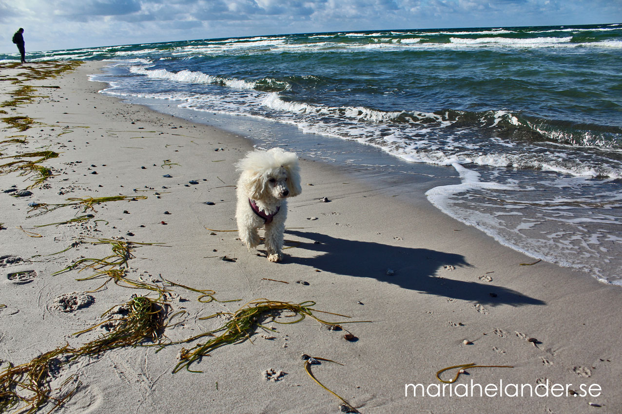 stranden