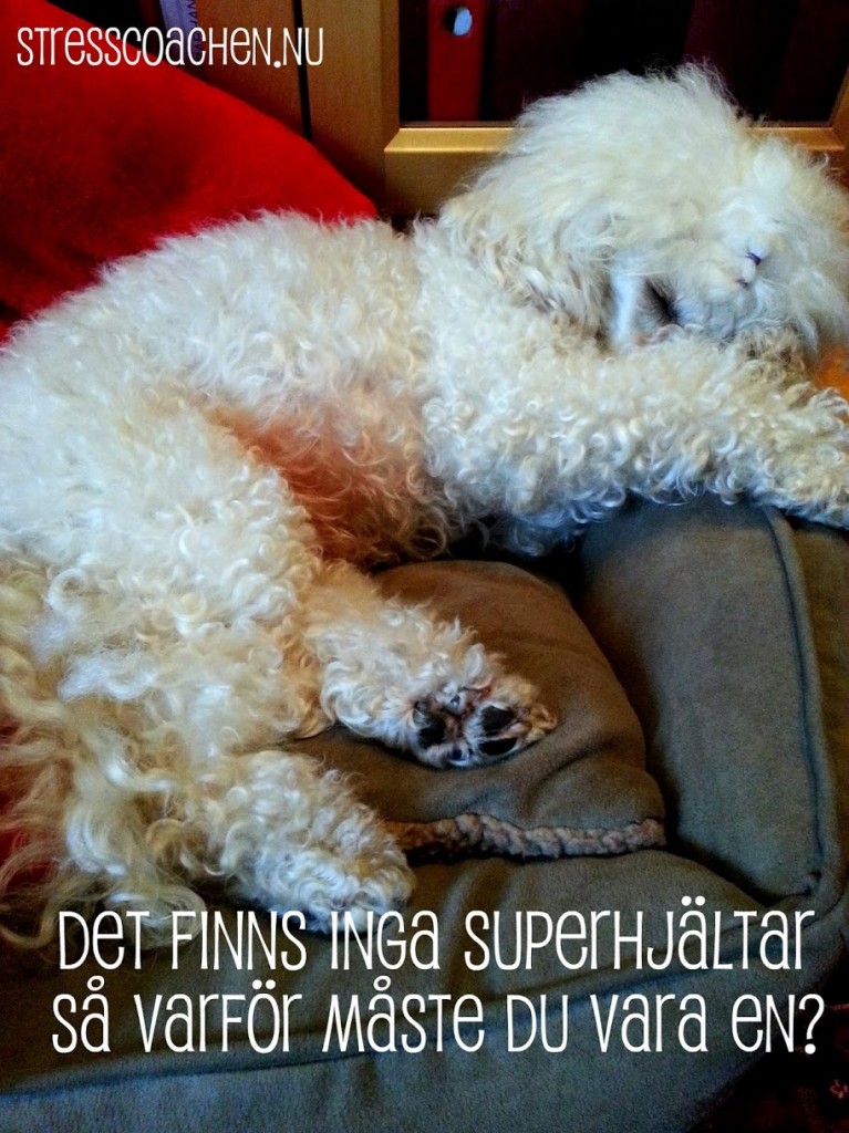 superhjältar
