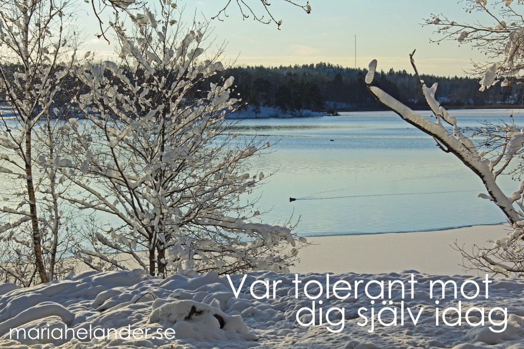 tolerant