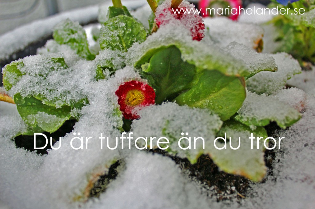 tuffare