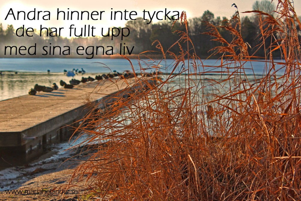 tycka
