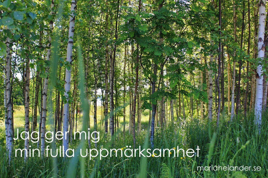 uppmärksamhet