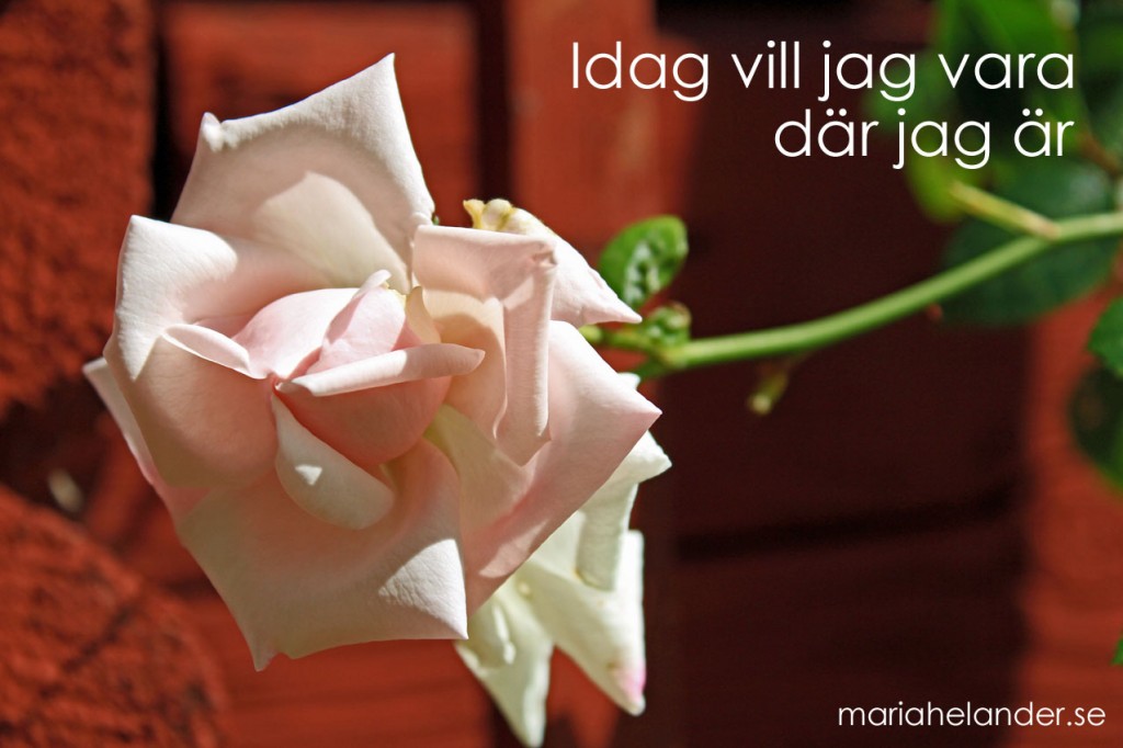 vara