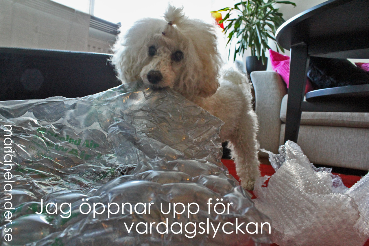 vardagslycka