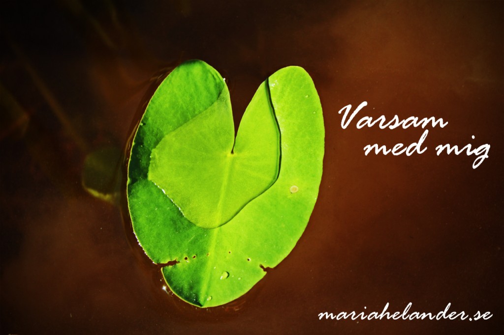 varsam
