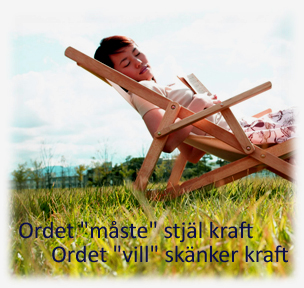 vill vill