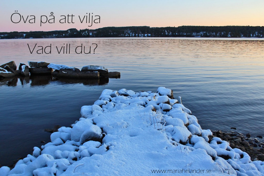 vill