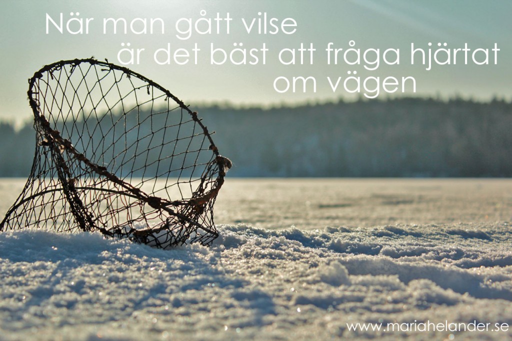 vilse