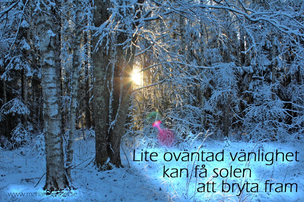 vänlighet