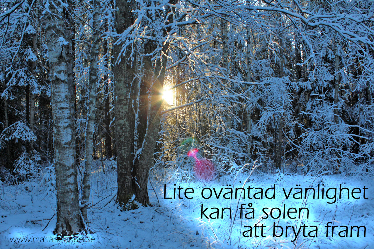 vänlighet