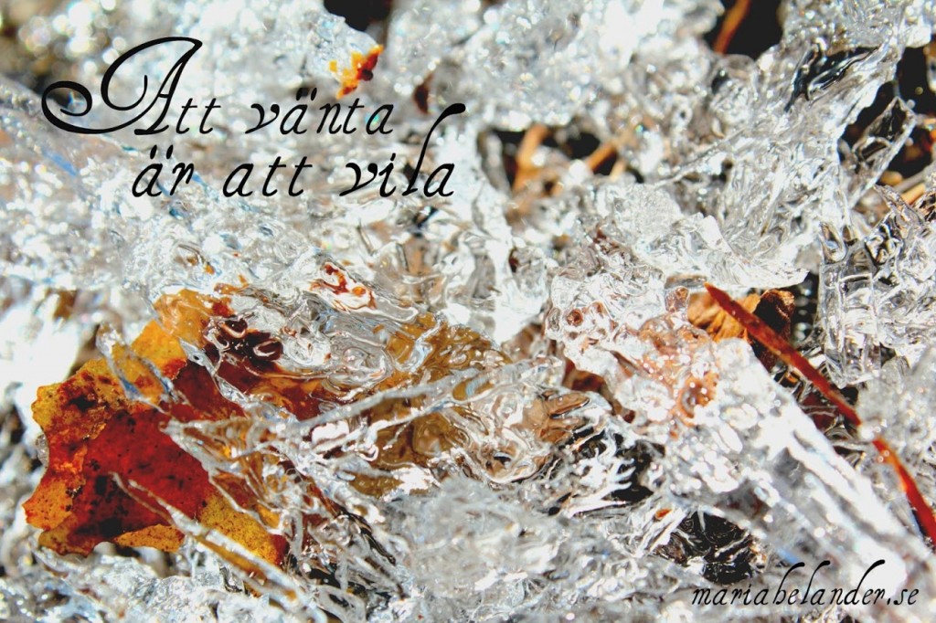vänta