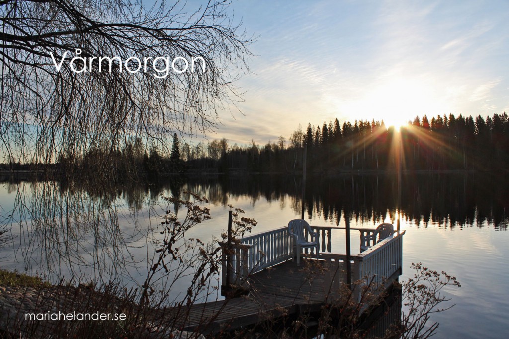 vårmorgon