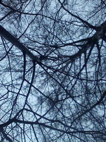 20140105_092826.jpg image