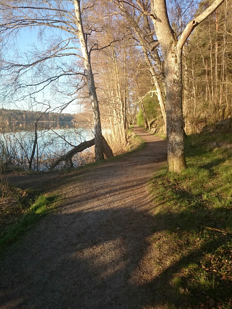 wp-1398663856635 image