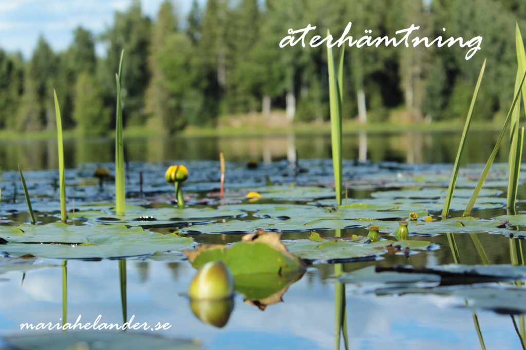 återhämtning
