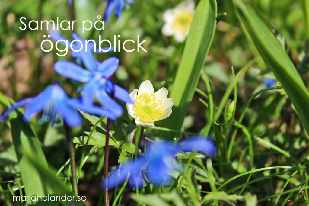 ögonblick