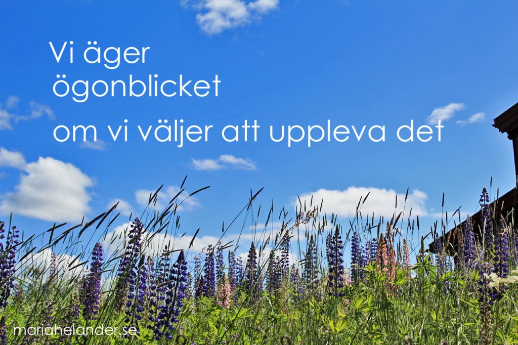 ögonblicket